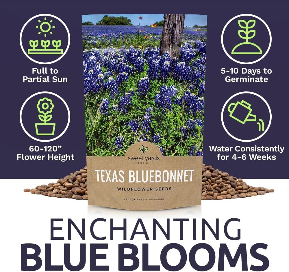 Bulk 1/4 Pound Bluebonnet Seeds - Over 4000 Fresh Wildflowers for Texas Gardens