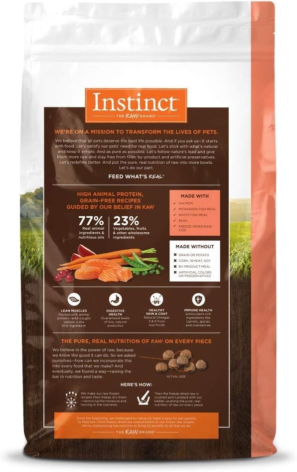 10 lb Dry Cat Food with Salmon and Probiotics – Grain-Free Formula for Cats