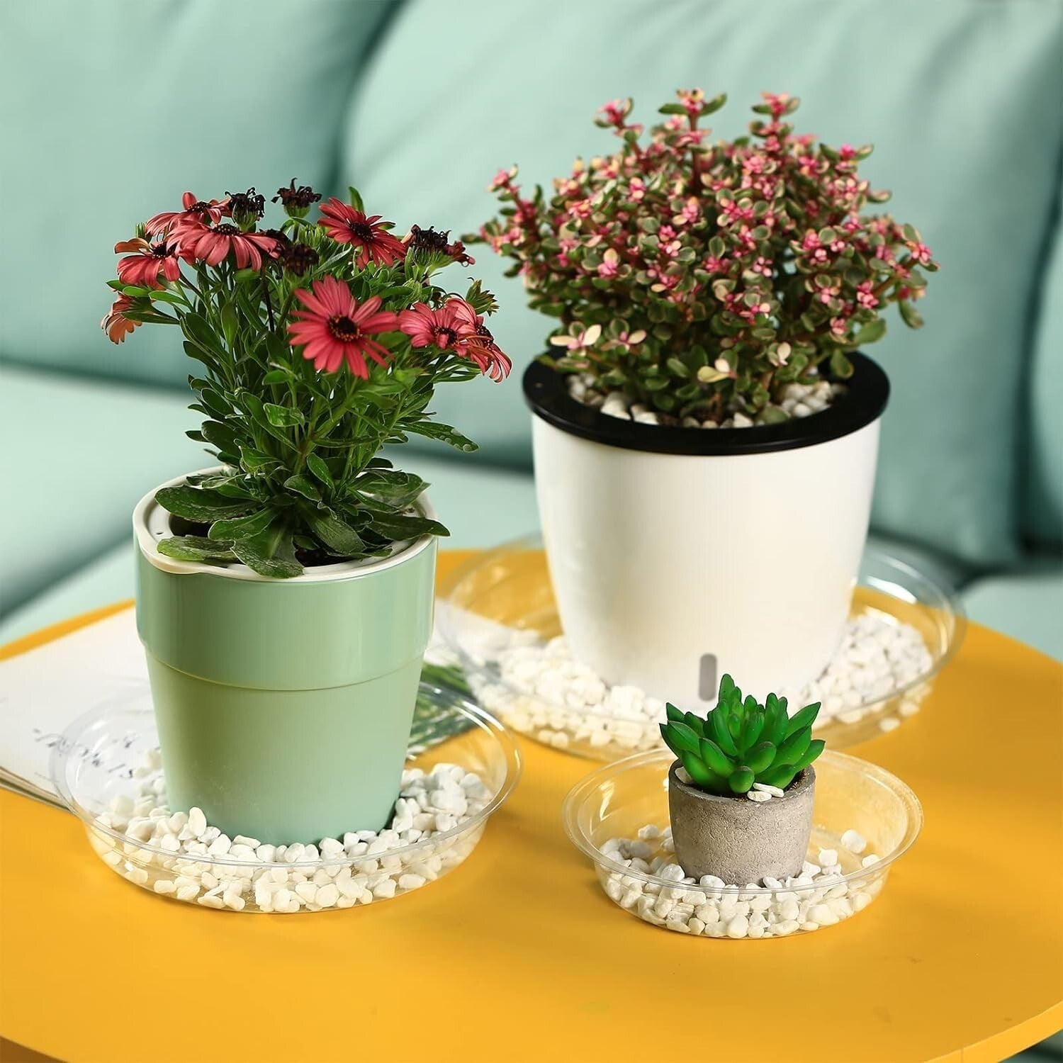 20-Pack Clear Plastic 20-Inch Plant Saucer Trays - Essential for Indoor Plants