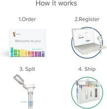 Load image into Gallery viewer, Exclusive DNA Testing Bundle with Health Reports &amp; Ancestry Insights Included