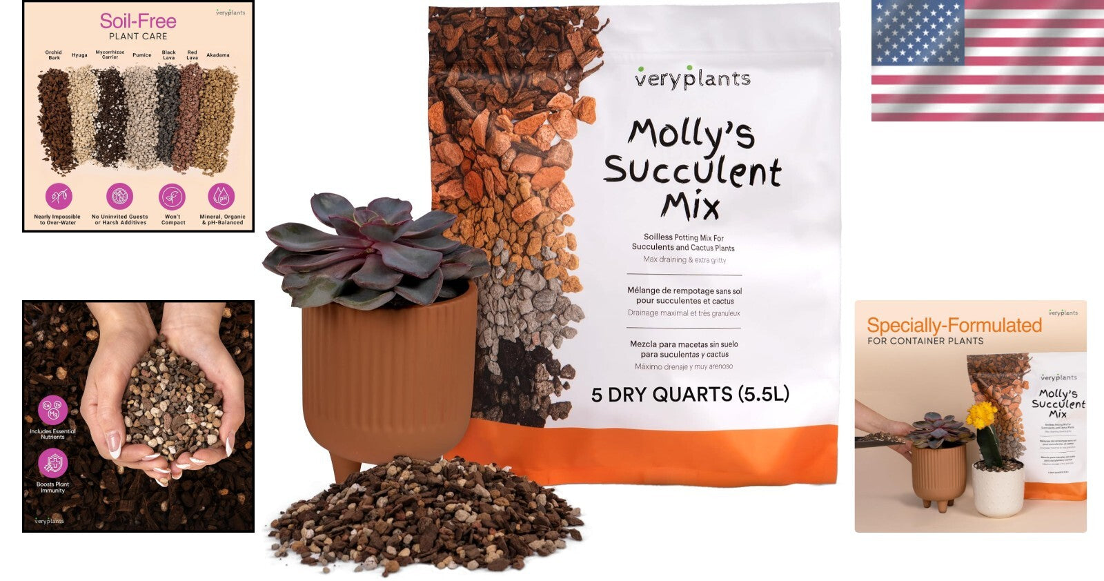 Molly's Premium Succulent Mix - Gritty Soilless Soil for Cacti & Bonsai 5 Quarts