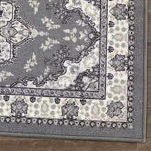 Load image into Gallery viewer, Traditional 2' x 10' Low Pile Indoor Runner Rug - Stylish &amp; Stain Resistant