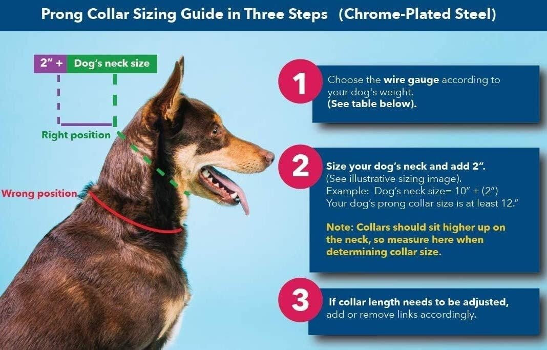 German-Made Prong Collar for Effective Dog Training - Quick Release, 20-25" Neck