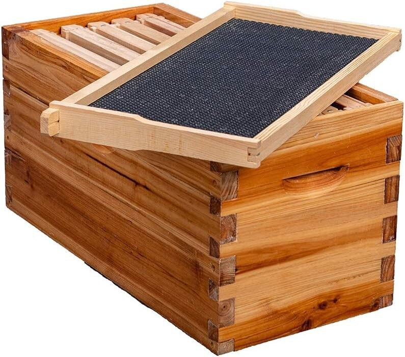 Elegant 5-Frame Beehive with Waterproof Metal Roof – Perfect for New Beekeepers