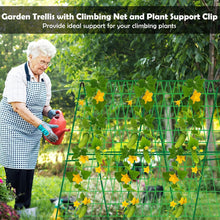 Load image into Gallery viewer, Sturdy 2 Pack A-Frame Trellis for Cucumbers &amp; Climbing Vegetables - 48" x 48"
