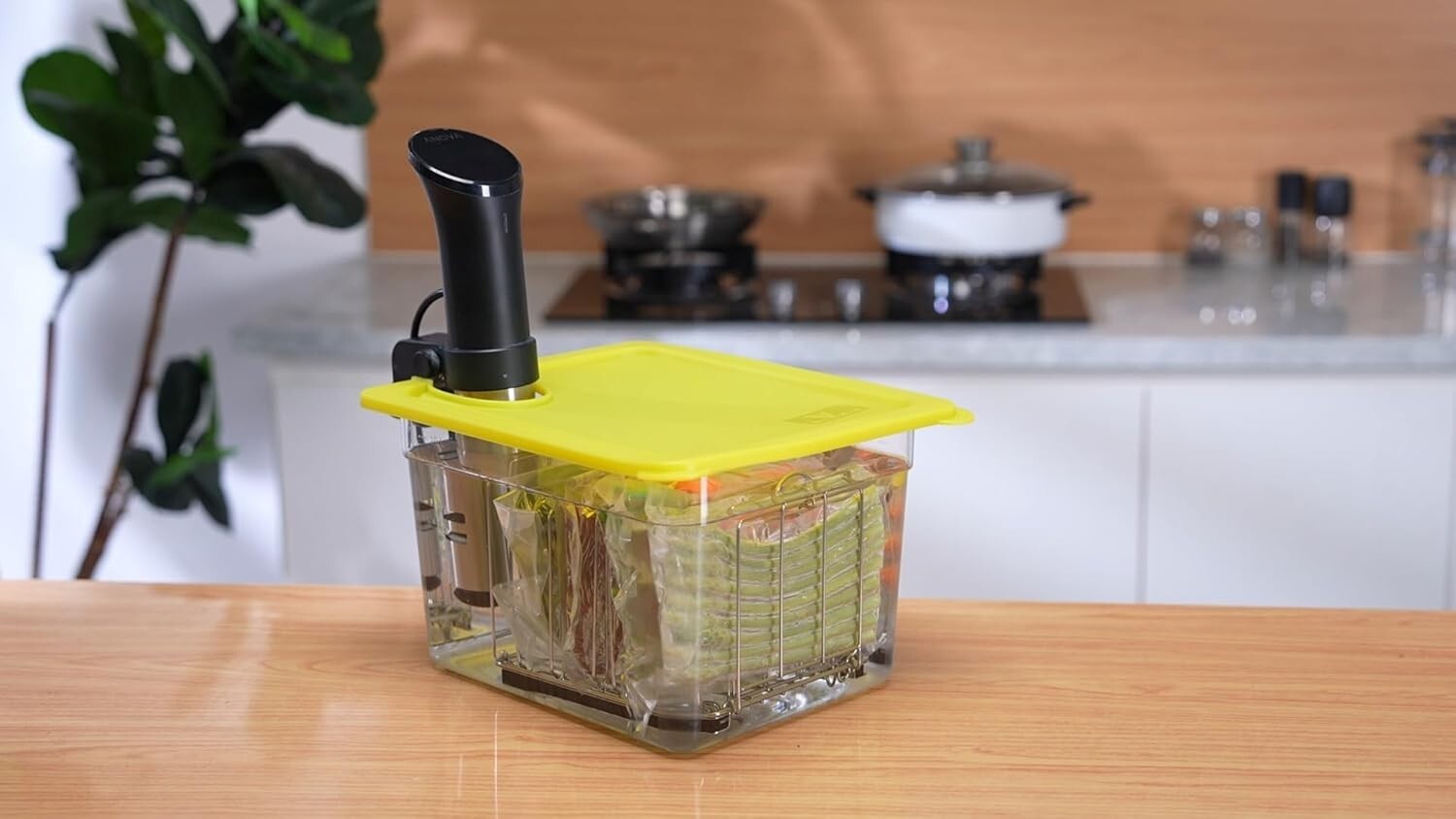 12 Quart Sous Vide Container Bundle with Universal Silicone Lid & Stainless Rack