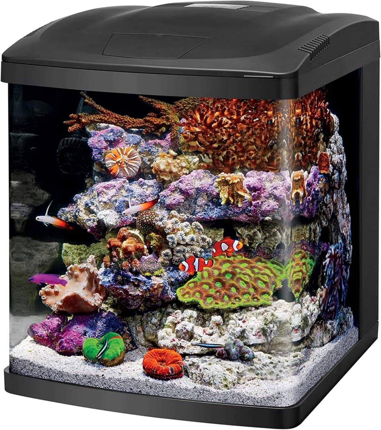 Sleek 16-Gallon BioCube Aquarium with Integrated LED Lighting Kit - All-in-One