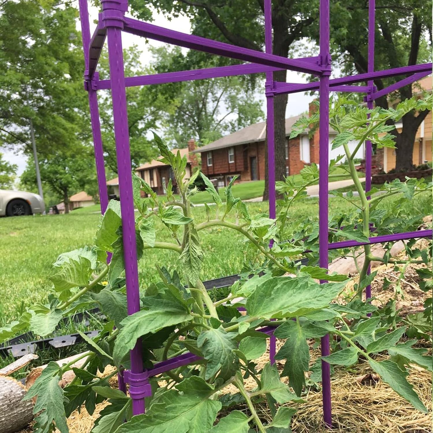 Triangular Tomato Cage Set - 73” Adjustable Garden Stakes for Plant Support