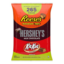 Load image into Gallery viewer, 265-Piece KIT KAT and REESE'S Milk Chocolate Combo for Fundraisers &amp; Gatherings