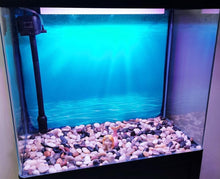 Load image into Gallery viewer, Multi-Purpose 20 lb River Rocks - Ideal for Gardens, Aquariums, DIY Projects