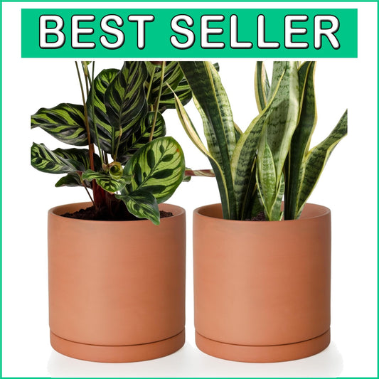 Handcrafted 8 Inch Terracotta Cylinder Planters with Drainage for Indoor Use