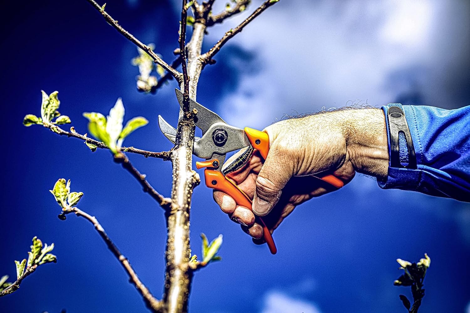 Ergonomic Garden Pruners with Robust Carbon Steel Blade - Precision Cutting Tool