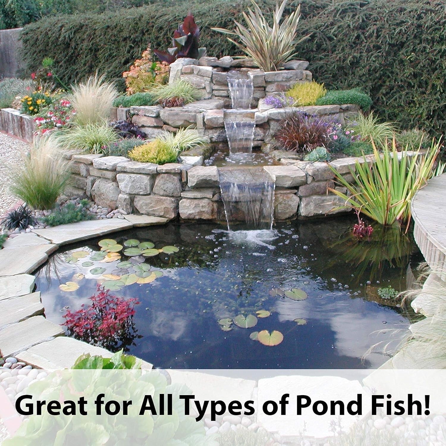 Koi’s Choice Premium Pond Fish Food - 10 lb Pack of 2 for Healthy Growth