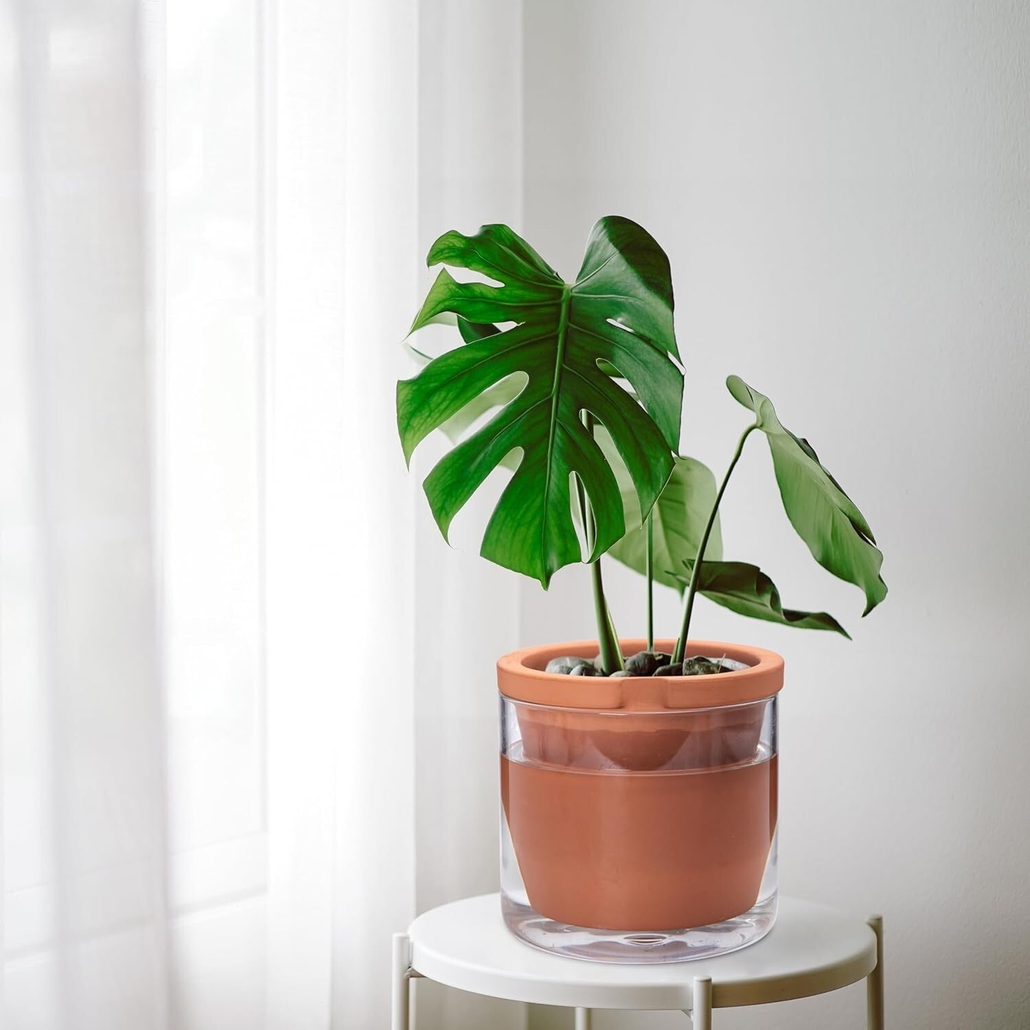 8 Inch Self-Watering Terracotta Planter with Glass Reservoir - Modern Elegance