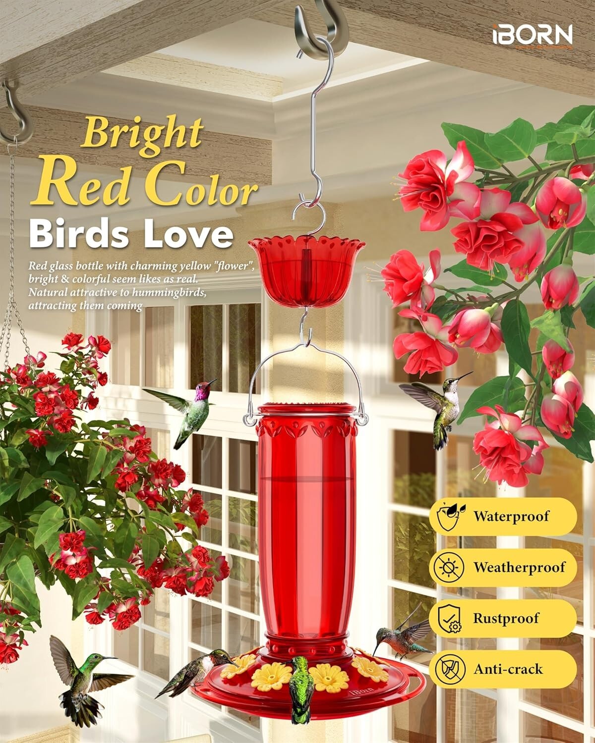 Attractive Hummingbird Feeder with Ant Moat - Durable Glass, Gift Box Included