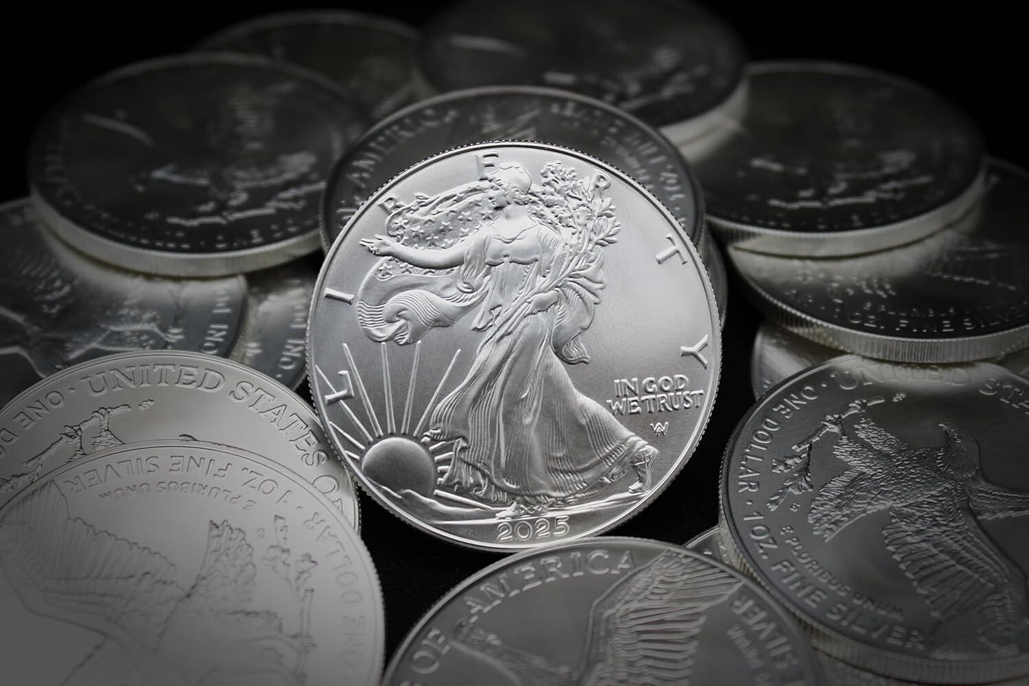 Collector's Set: 5 oz American Silver Eagle Coins, Certs Included - 2025 Edition