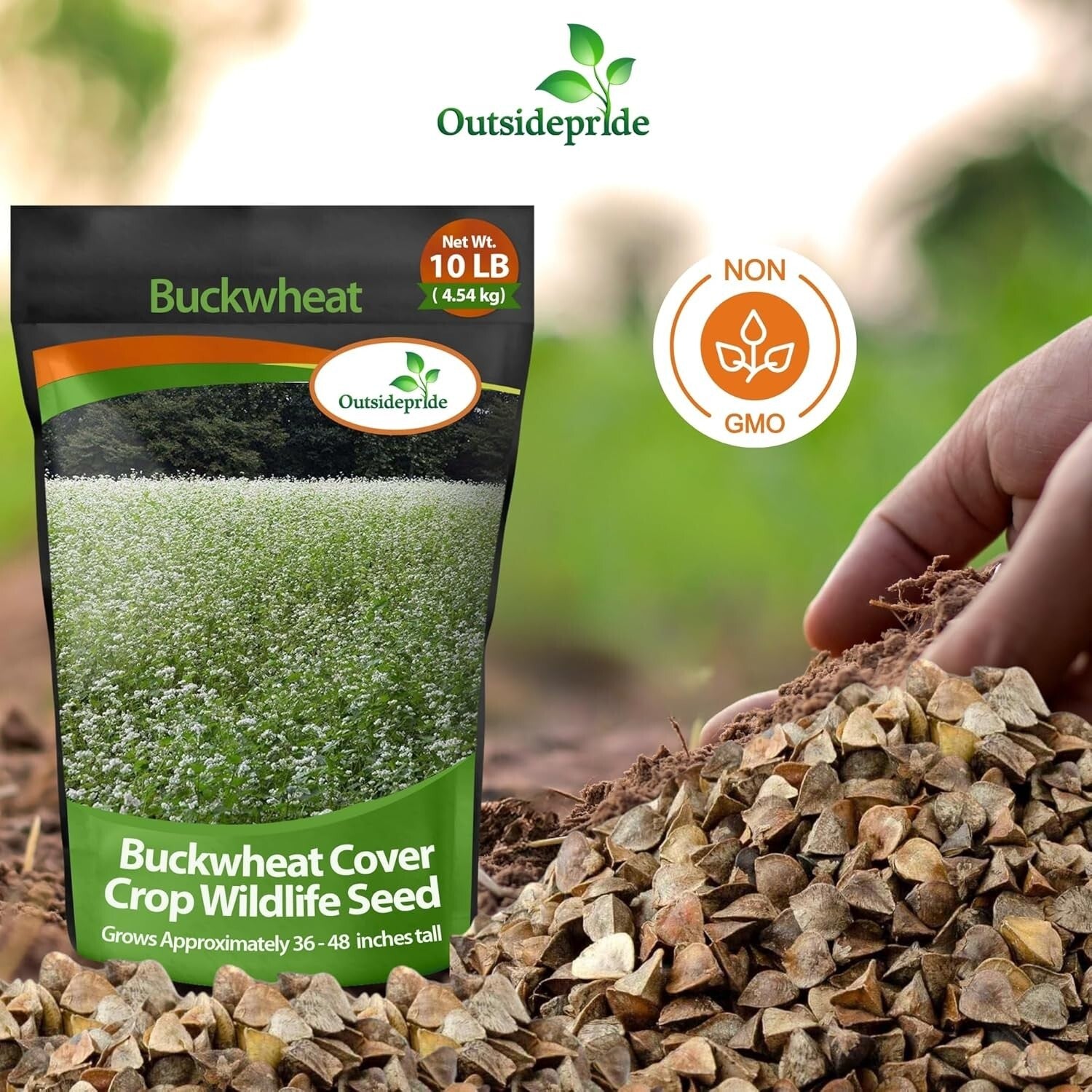 Buckwheat Seeds - 10lbs for Sustainable Cover Crop & Biodiversity Enhancement