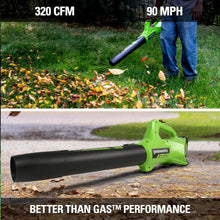 Load image into Gallery viewer, All-in-One 24V Lawn Care Combo: 12” String Trimmer and Blower with Accessories