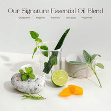 Load image into Gallery viewer, Haircare Meets Skincare: Plant-Based Shampoo &amp; Deep Conditioner Set for Strength