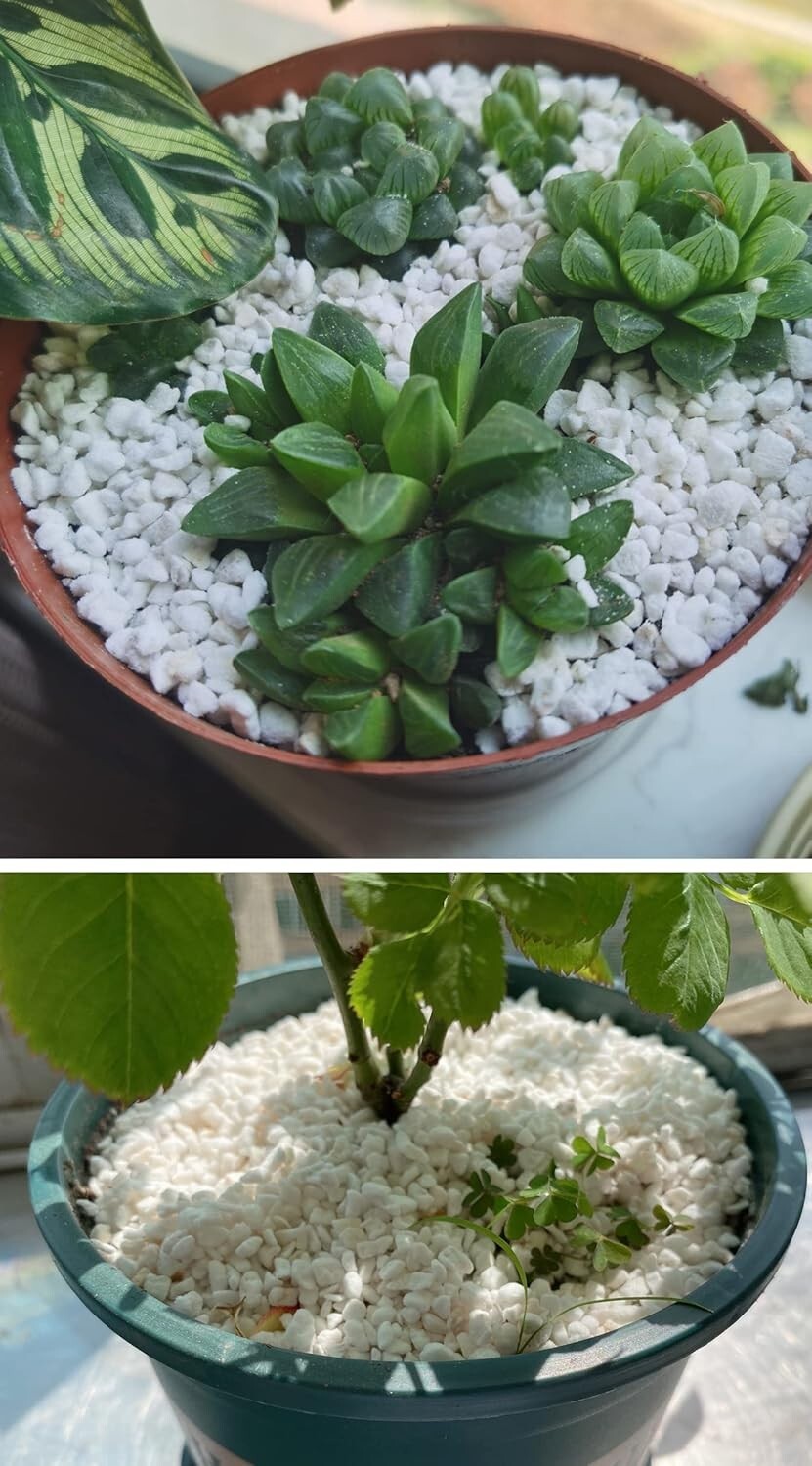 Natural 30QT Perlite for Aeration & Drainage - Ideal Soil Amendment for Plants