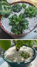 Load image into Gallery viewer, Natural 30QT Perlite for Aeration &amp; Drainage - Ideal Soil Amendment for Plants