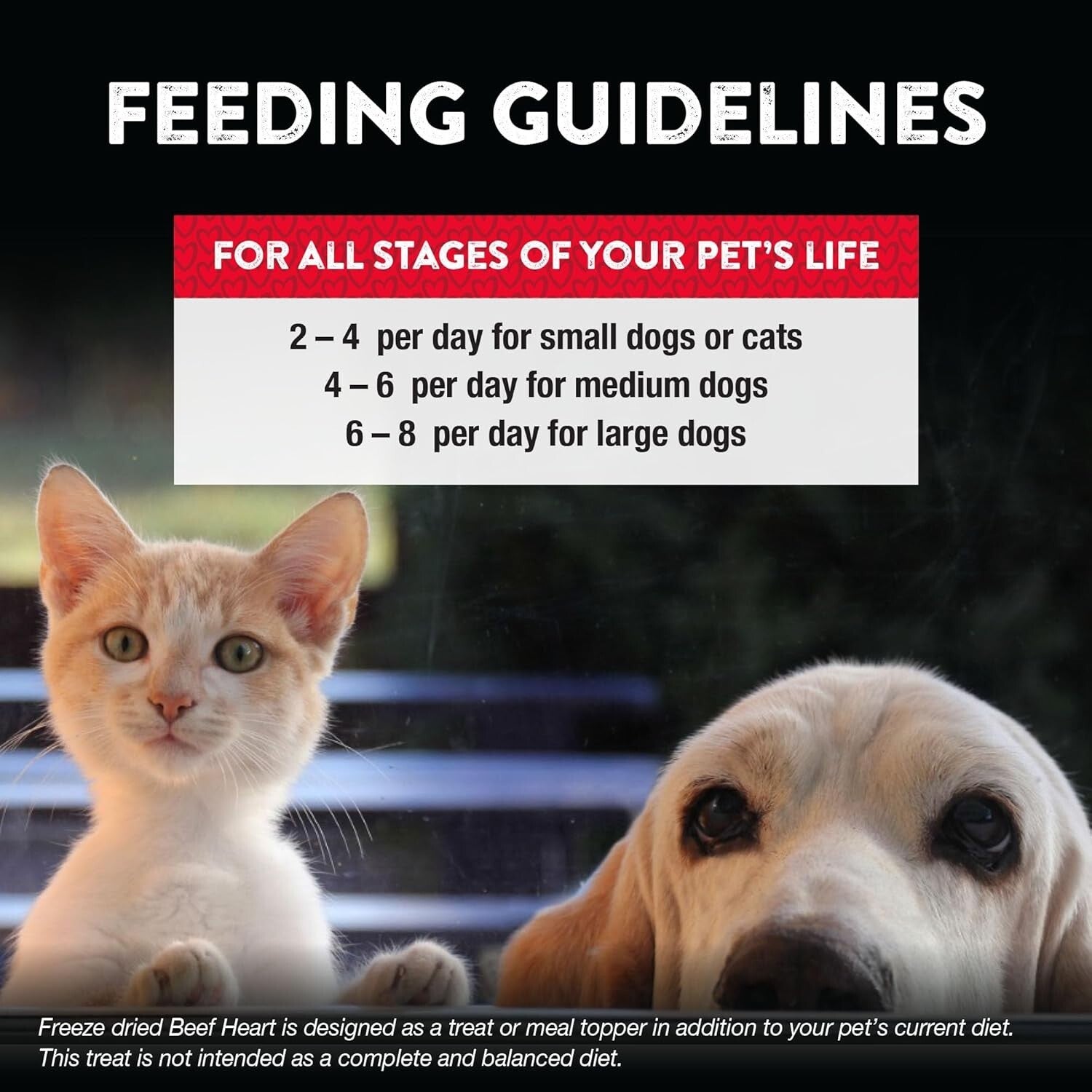 All-Natural 10 Oz Freeze-Dried Beef Heart Treats for Dogs & Cats - Training Aid