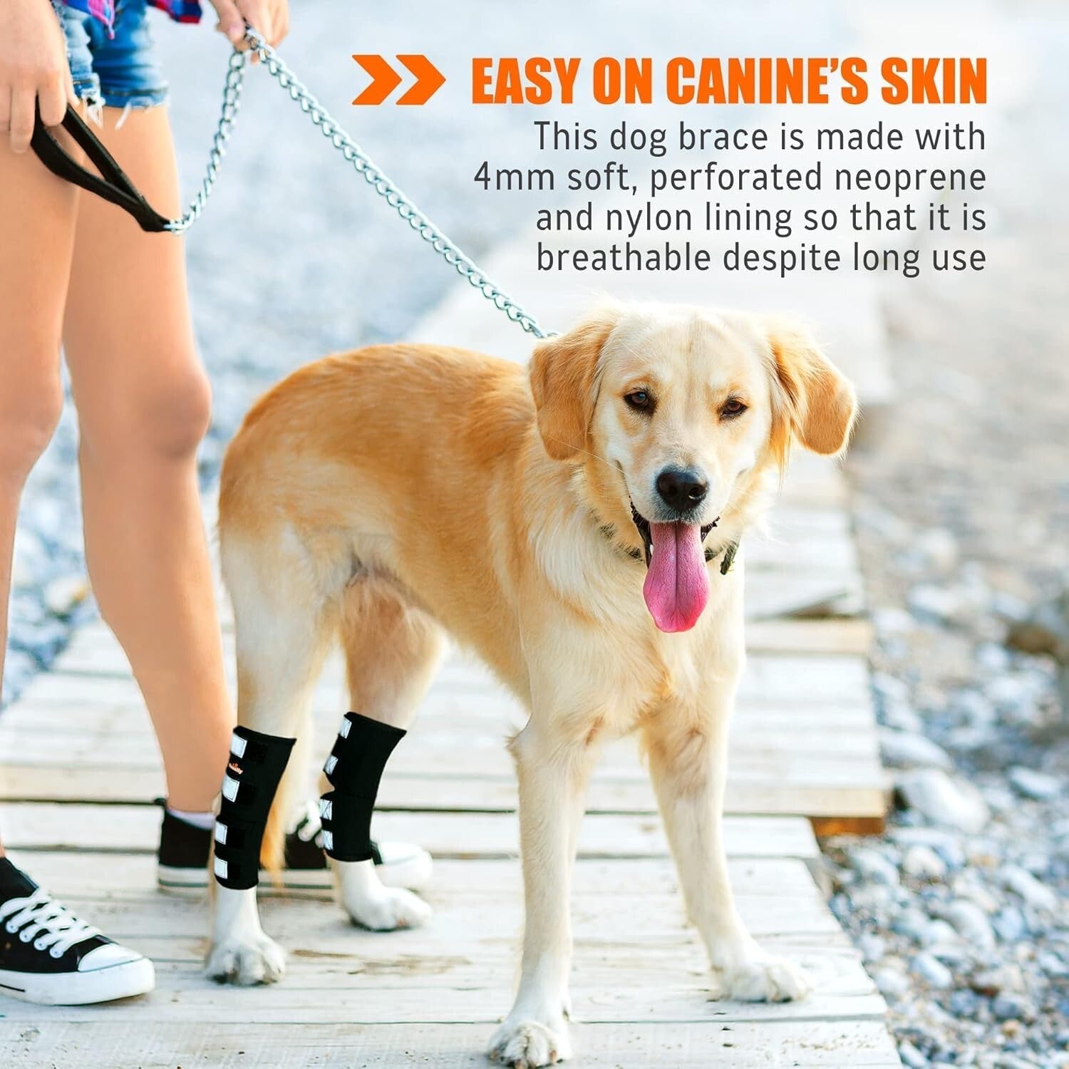 Large Dog Rear Leg Hock Brace - Comfortable Support for ACL & CCL Injuries