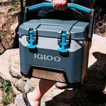 Load image into Gallery viewer, BMX Hard Cooler - Lightweight 25 QT Insulated Packaging for Outdoor Adventures