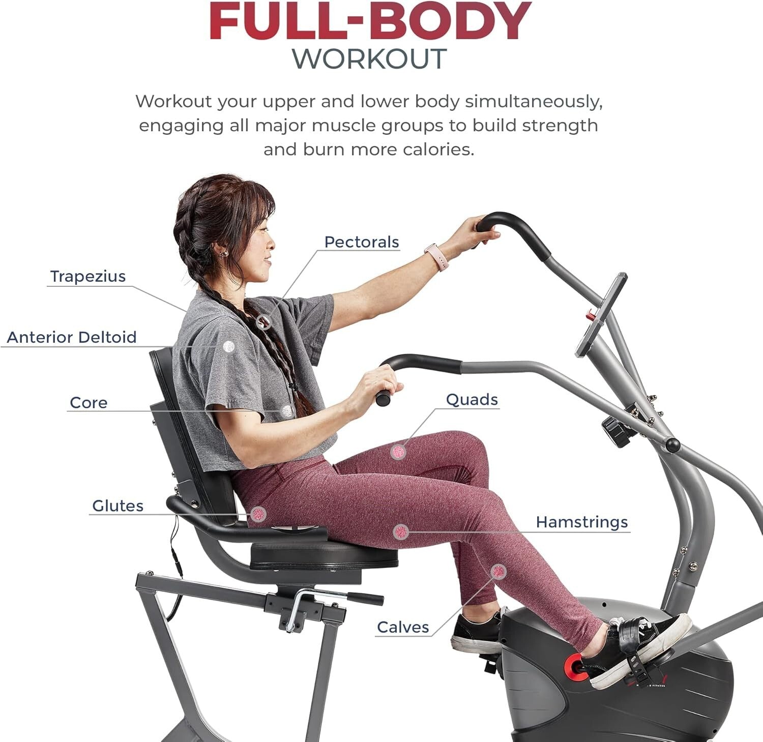 Full-Body Recumbent Bike for Seniors with Magnetic Resistance & Digital Monitor