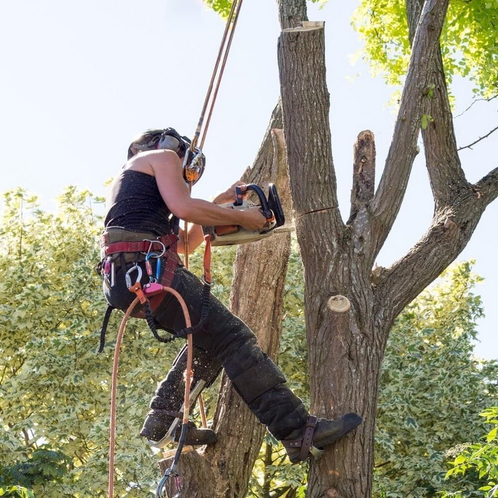 Vibrant Braided Polyester Arborist Rope - 3/8" x 150 ft for Climbing and Camping