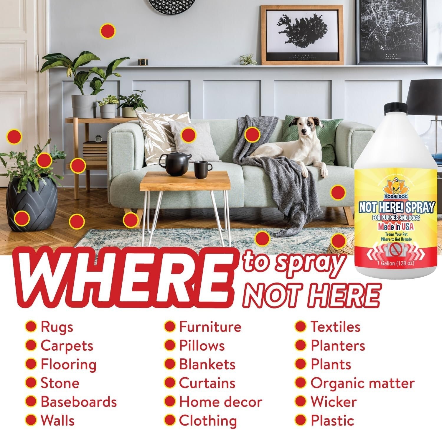 Housebreaking Made Easy - Not Here! 128oz Spray for Pet Training & Behavior