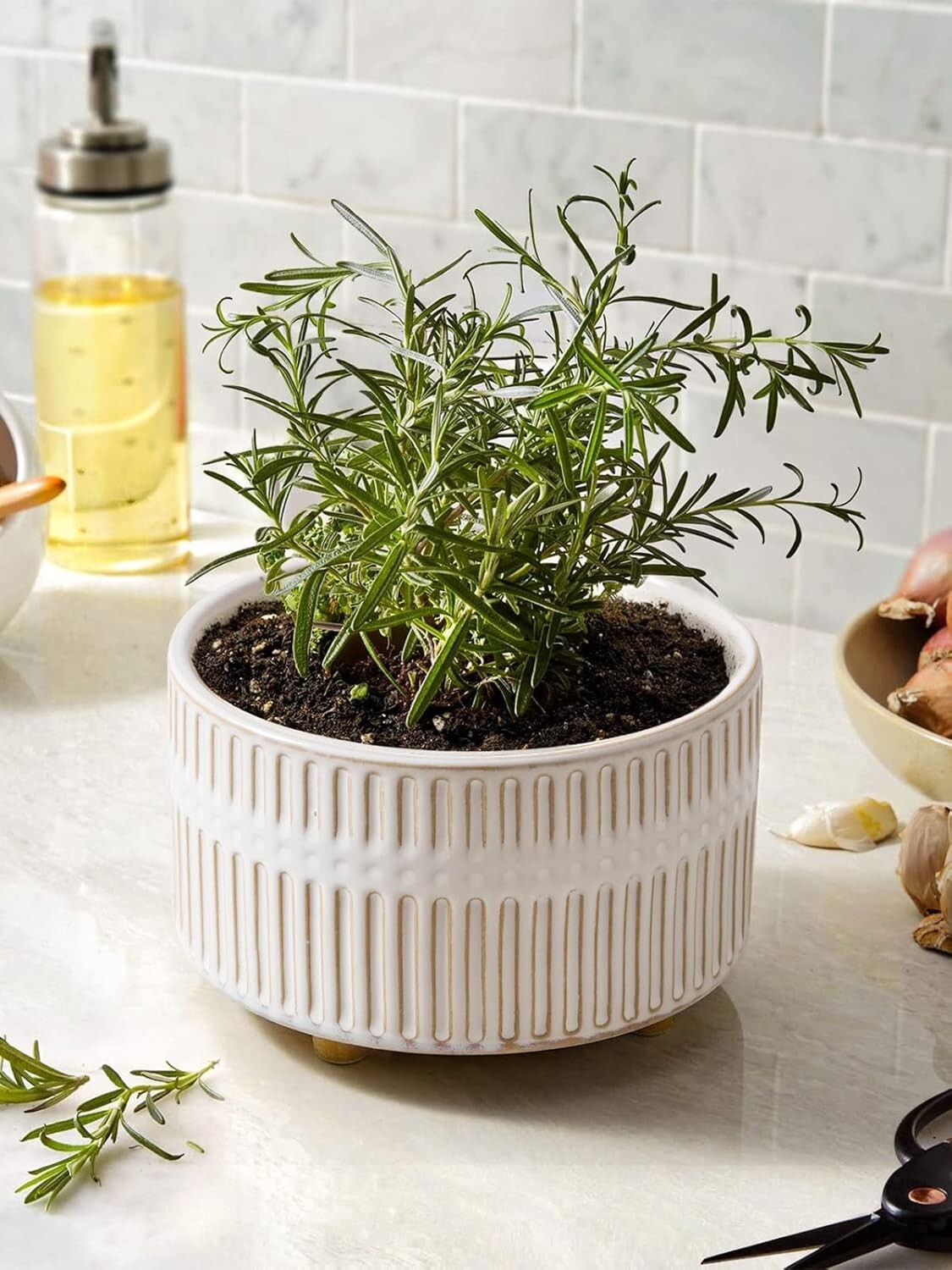 Elegant 6.5/8 Inch Ceramic Succulent Pots with Drainage - Indoor Garden Combo