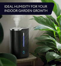 Load image into Gallery viewer, Multi-functional 6L Cool Mist Humidifier with Smart Auto Function &amp; Night Light