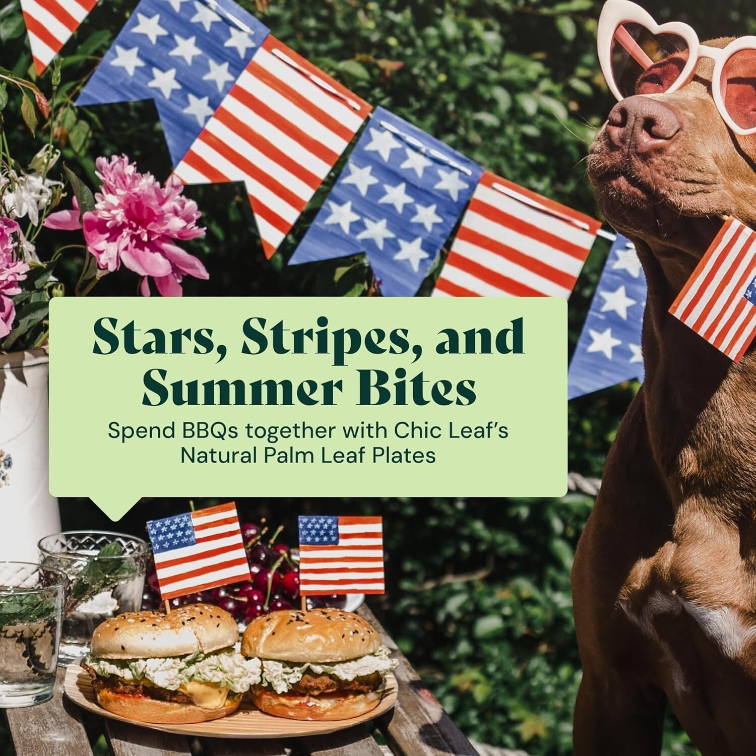 Elegant & Sturdy Palm Leaf Plates - Disposable Tableware for All Occasions