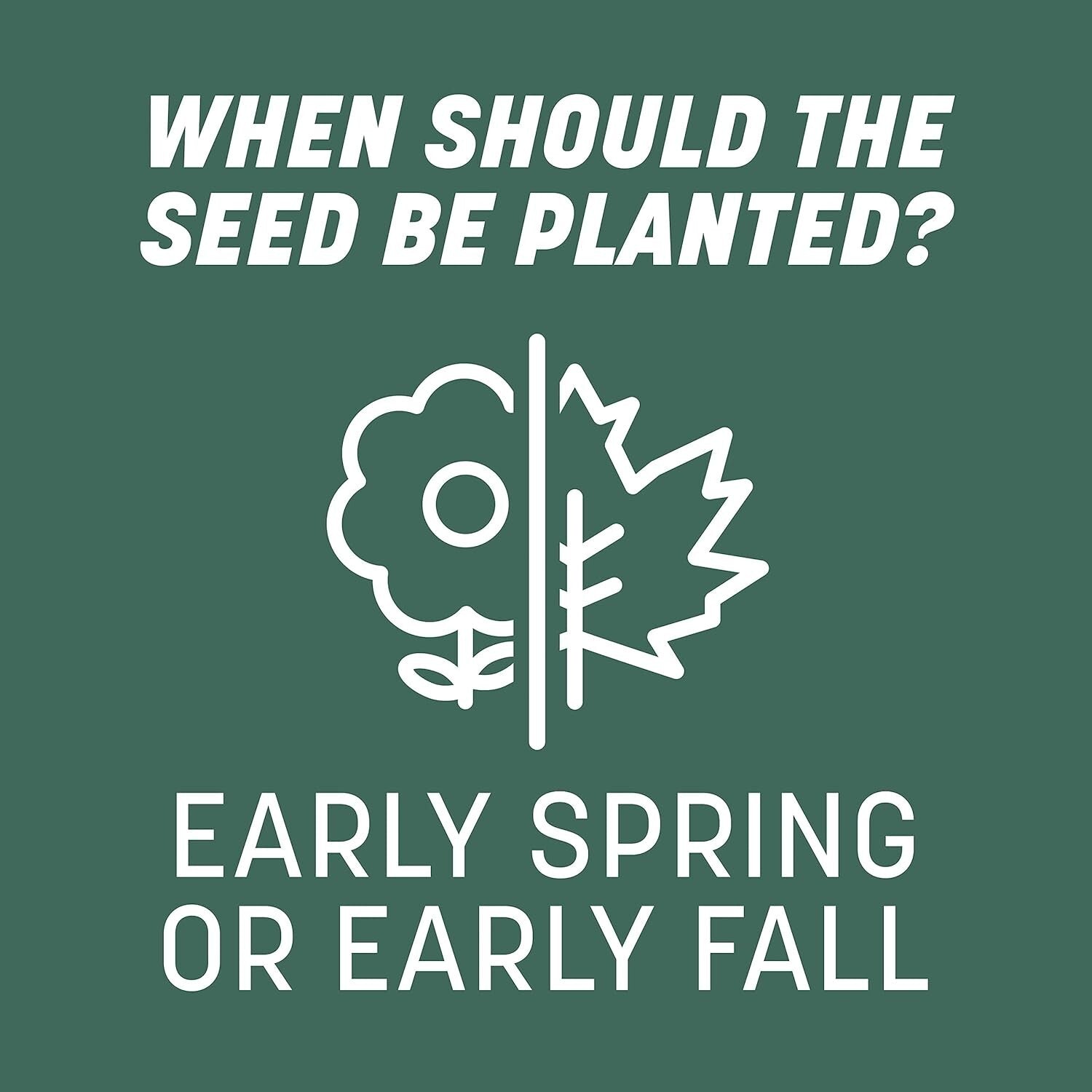 20 lb Kentucky 31 Tall Fescue Grass Seed - Economical, Drought-Resistant Turf