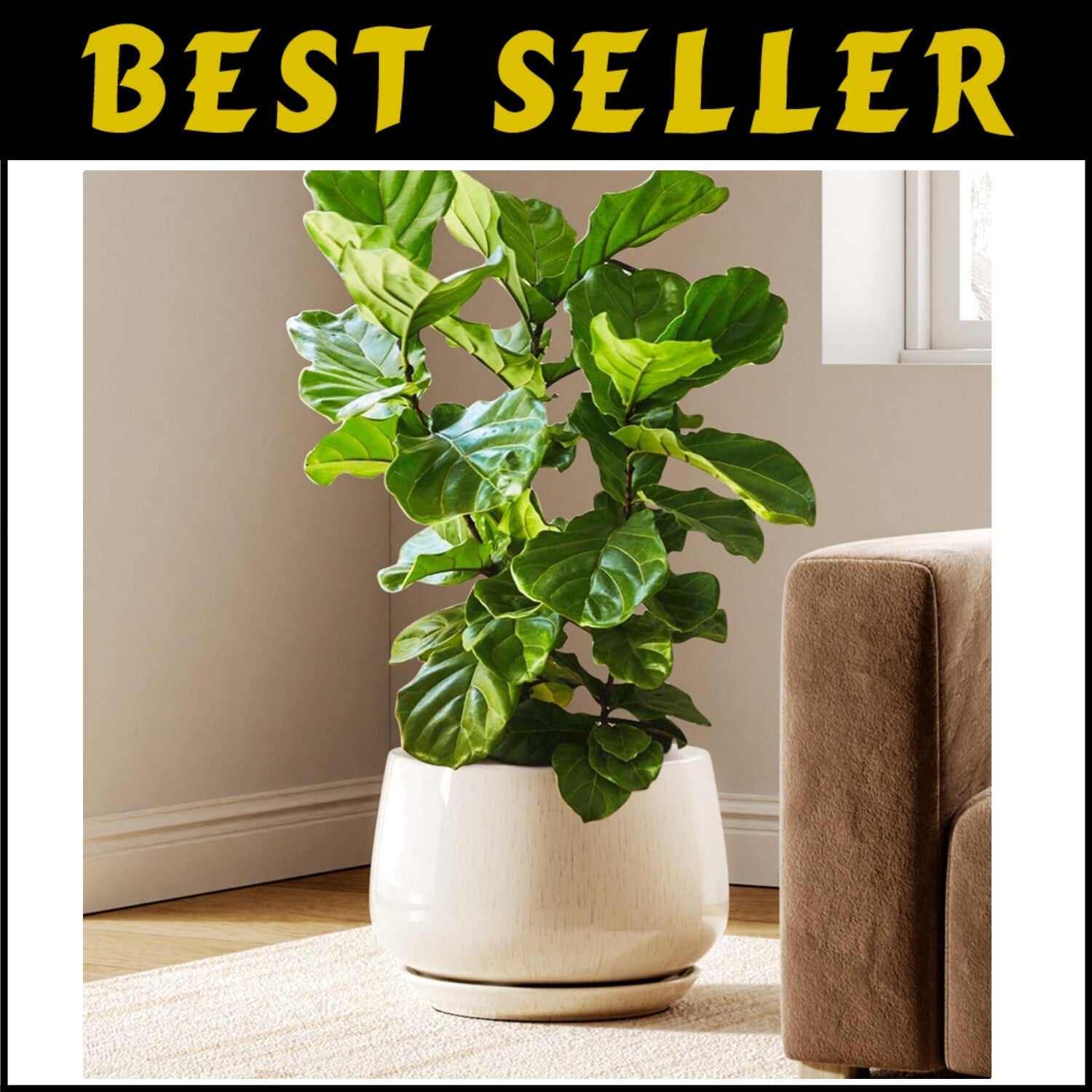 Elegant 12-Inch Ceramic Planters with Drainage Holes - Modern Reactive Glaze