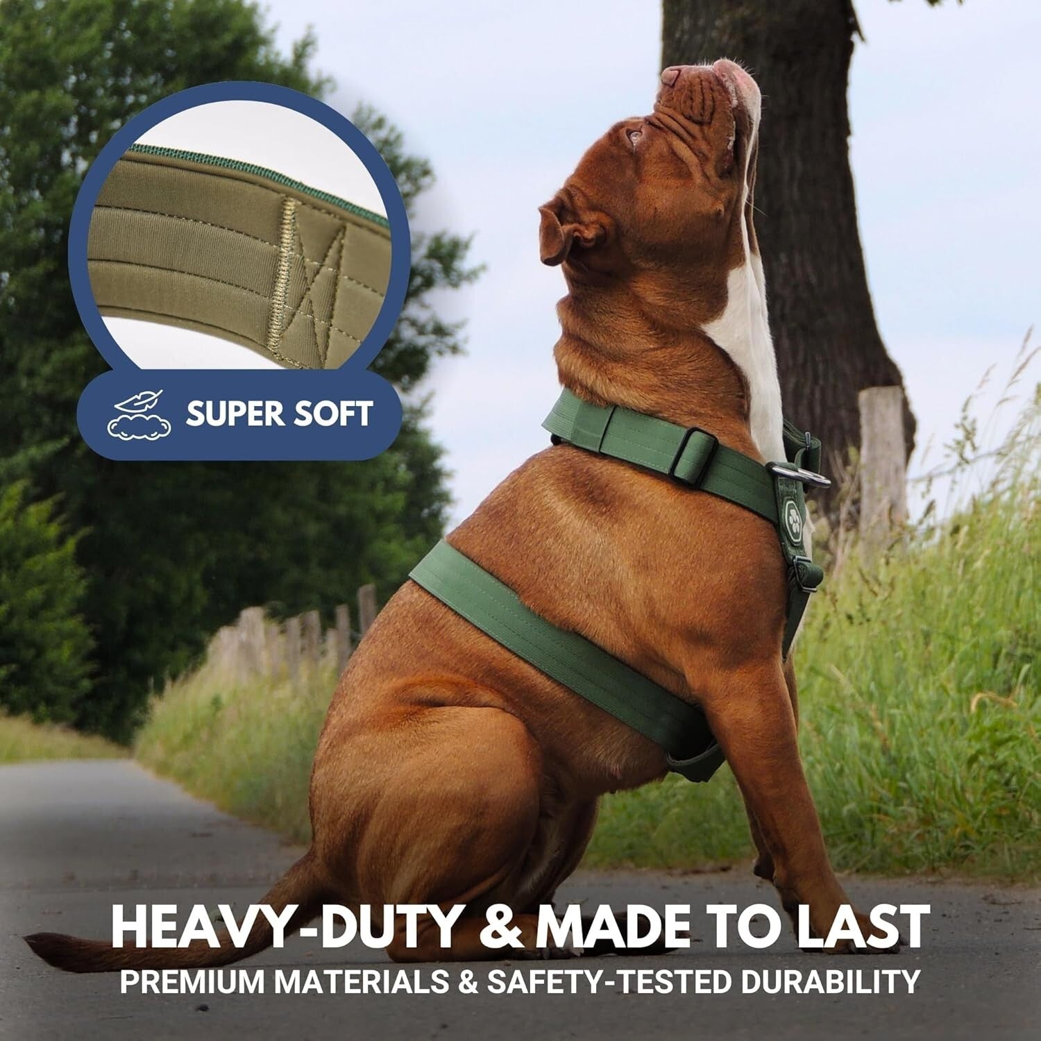 Solid Green Large Dog No-Pull Harness - Nylon Halter for Easy Control - Size S