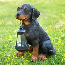 Load image into Gallery viewer, Durable 13” Rottweiler Dog Garden Statue with Solar Lights – Charming Decor