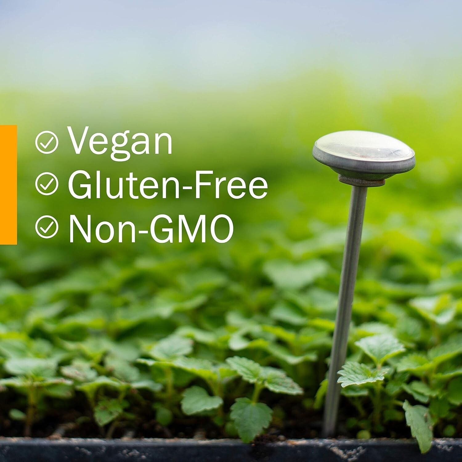 Certified Organic Ashwagandha Extract for Stress Relief & Energy Booster - 4 oz