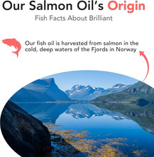 Load image into Gallery viewer, Omega 3 Salmon Oil for Dogs - Natural Supplement for Coat &amp; Joint Health, 32.8oz