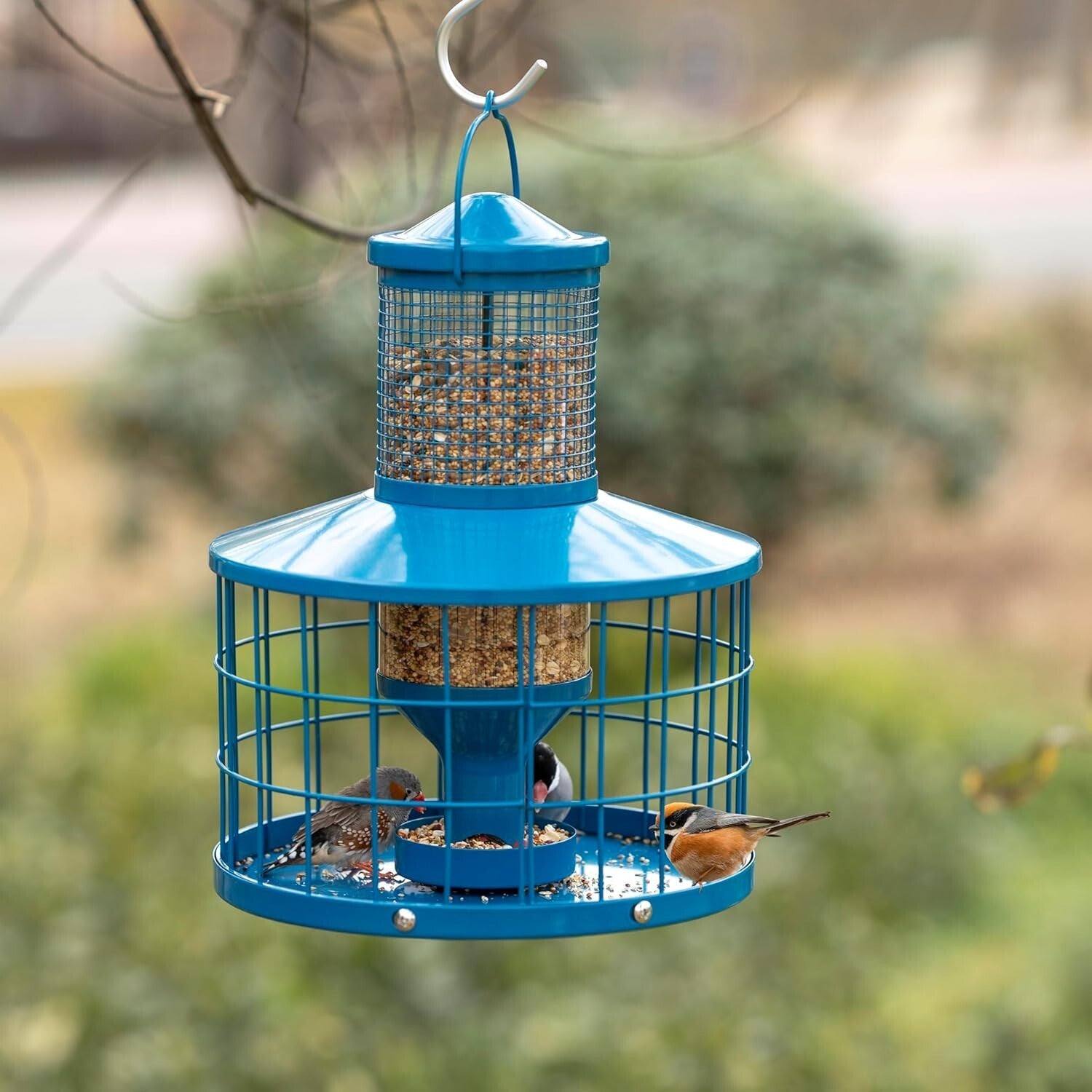 Durable Blue Hanging Bird Feeder for Finch & Bluebird - Squirrel-Proof Design