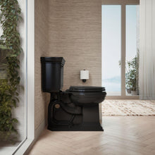 Load image into Gallery viewer, Sleek Black Toilet Seat with ReadyLatch for Effortless Cleaning &amp; Comfort
