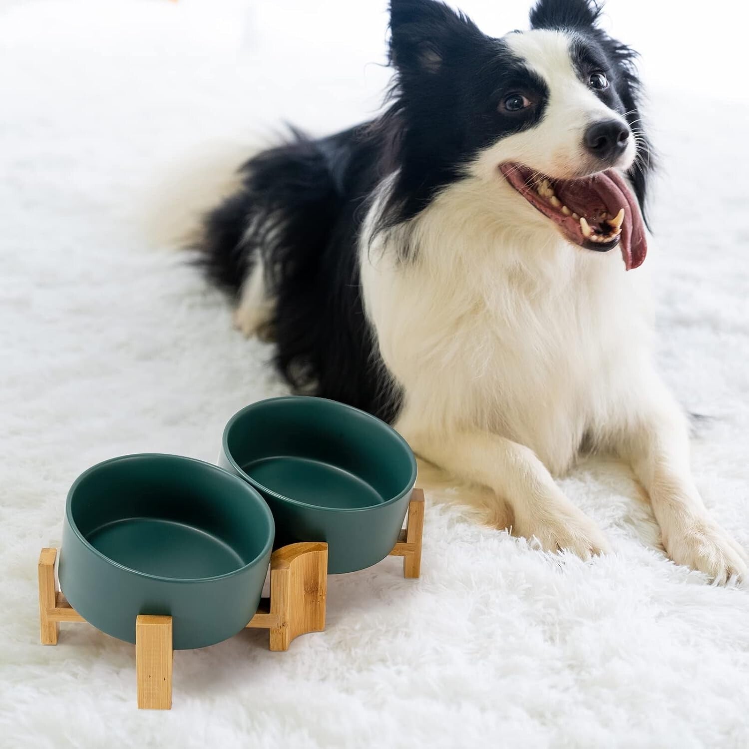 Stylish 15° Slanted Ceramic Pet Bowl Set with Bamboo Stand for Easy Feeding