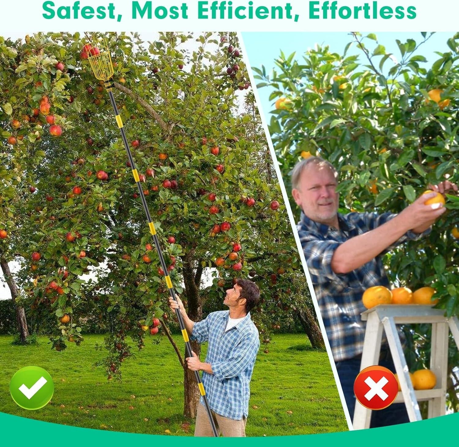 Heavy Duty 8FT Fruit Picker Pole with 5.5" Basket - Ideal for Home Gardens