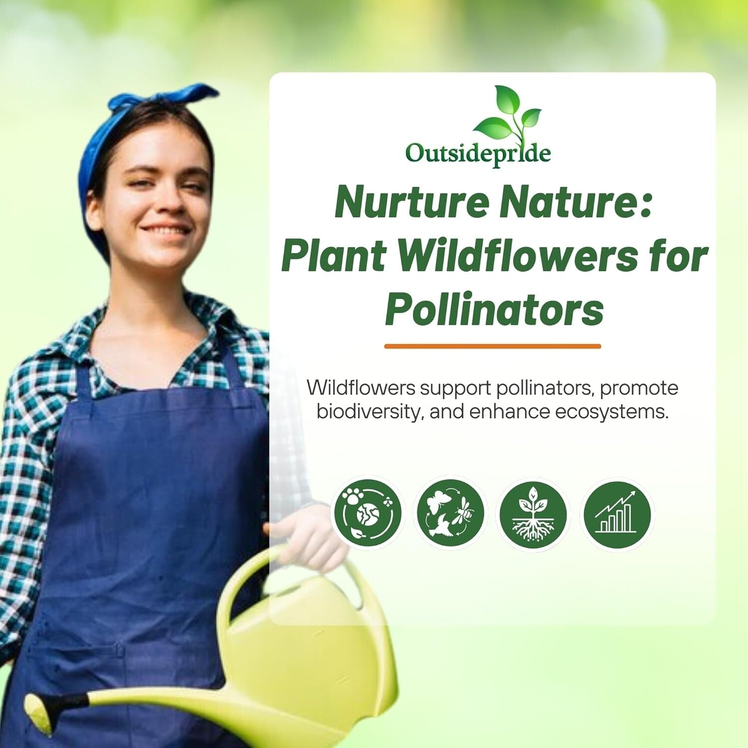 5 lbs Heirloom Wildflower Seed Mix for Southeastern Landscapes - Eco-Friendly