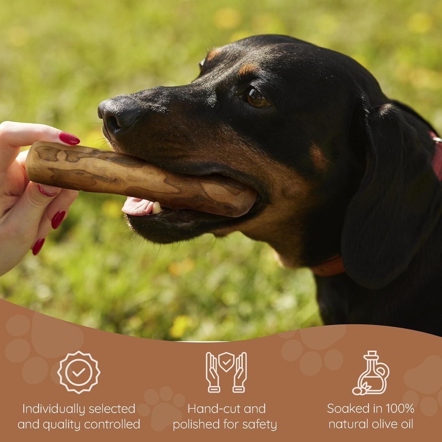 Long-Lasting Olive Wood Dog Chew with Olive Oil - Promotes Dental Health