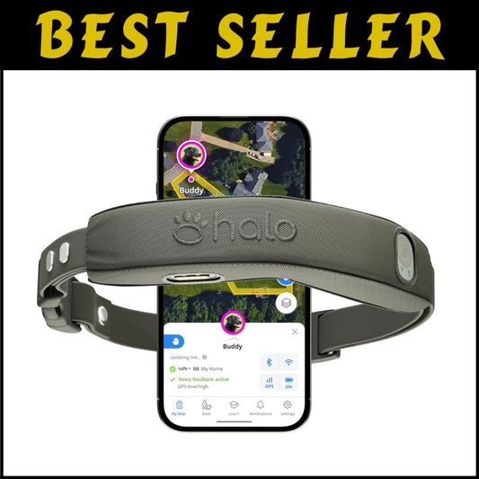 Collar 4 GPS Wireless Dog Fence & Dog Training Collar - Waterproof, Adjustable