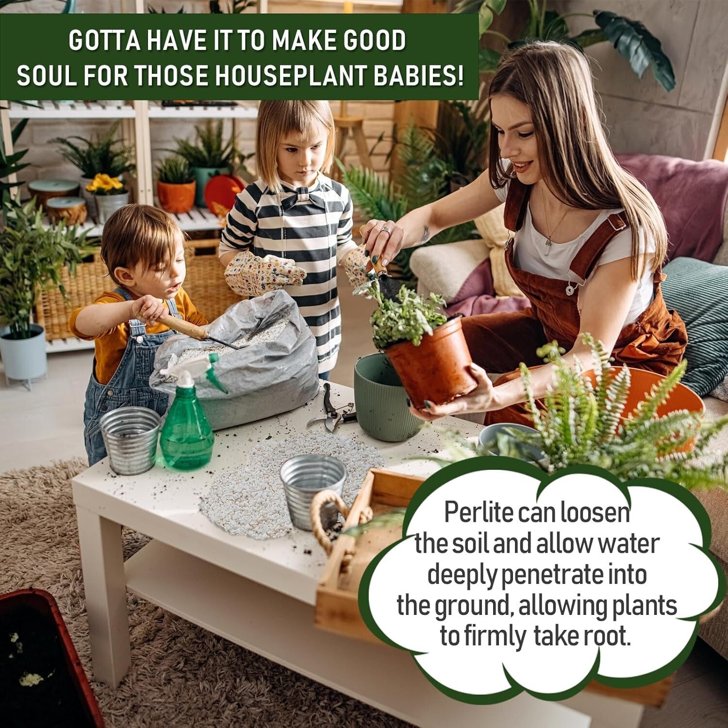 Superior Soil Conditioner: 30QT Organic Perlite for Improved Root Growth