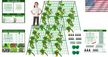Load image into Gallery viewer, Sturdy 2 Pack A-Frame Trellis for Cucumbers &amp; Climbing Vegetables - 48" x 48"
