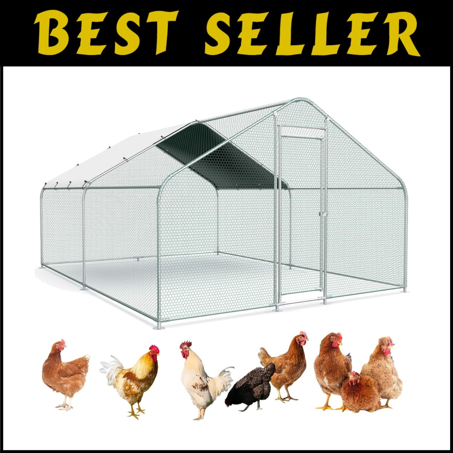 Versatile 10x13 FT Chicken & Rabbit Run with Galvanized Structure for Outdoors